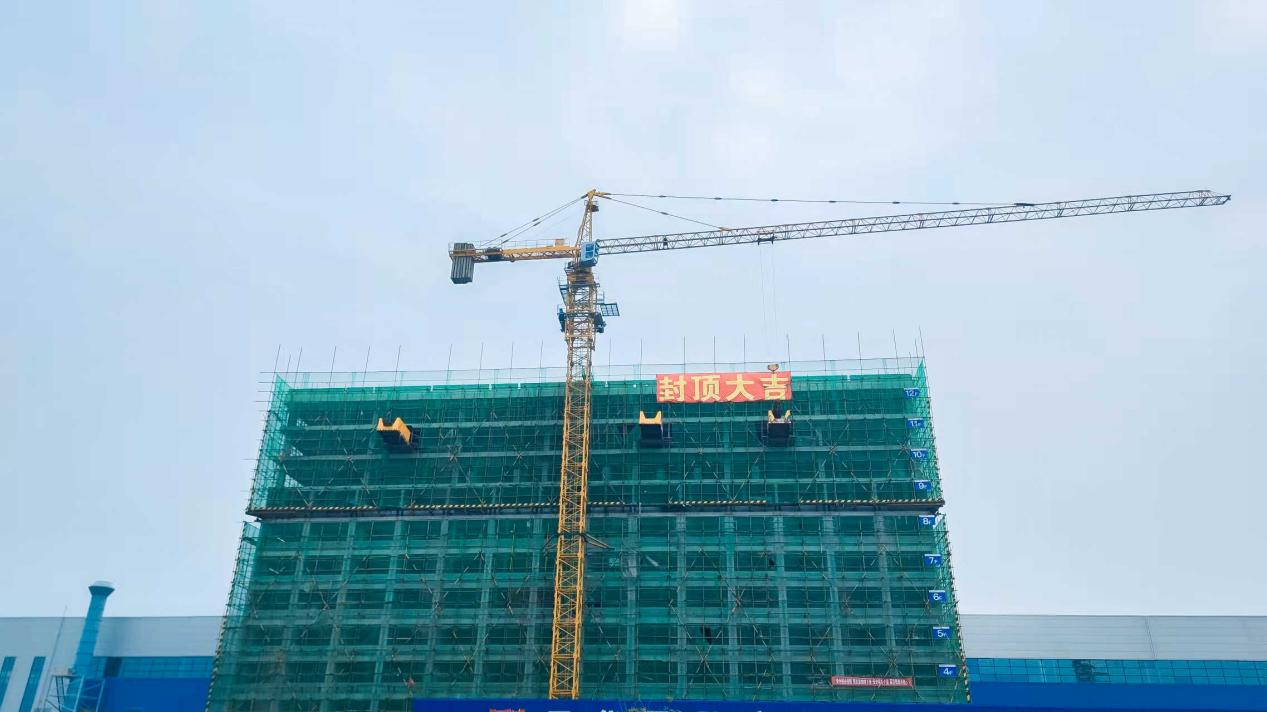 图片3